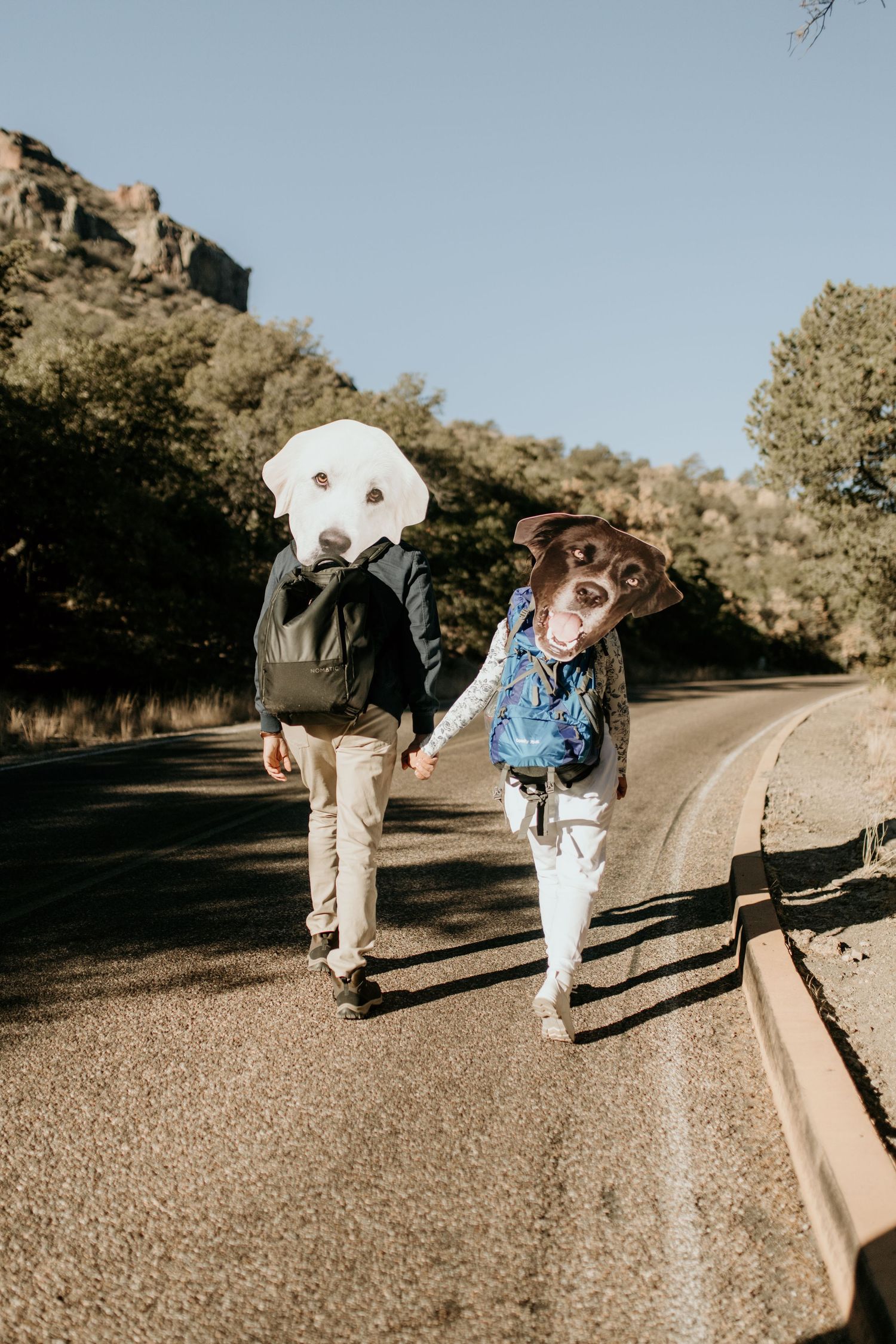 Two people wearing dog head masks walk down a mountain road wearing casual clothing and backpacks.