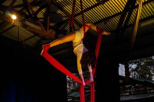 A performer gracefully executes aerial silk acrobatics in a dark performance space with dramatic lighting.