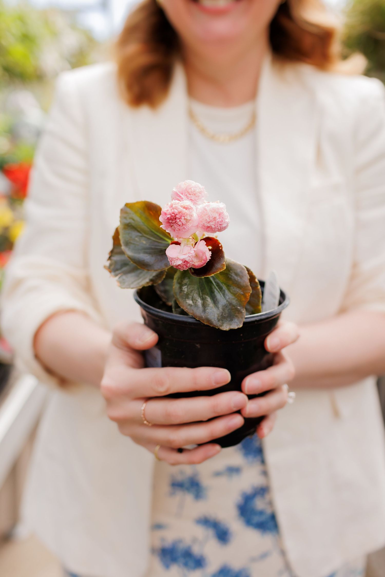 A person wearing a white top holds a small potted begonia plant with pink flowers against a blurred background.
