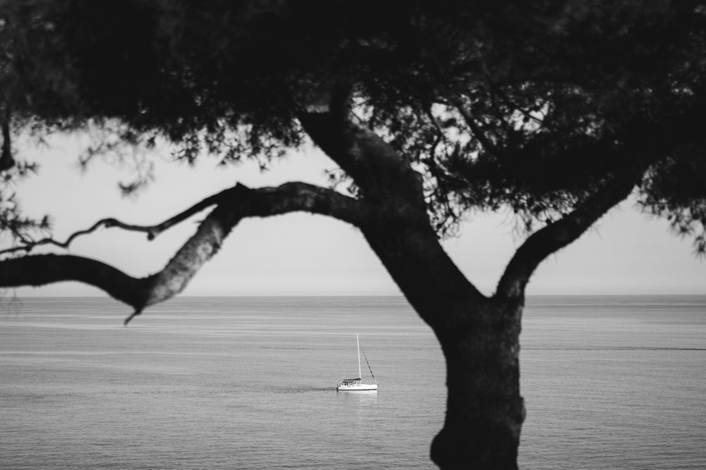 Barca a vela sul mare vista dal giardino panoramico di Villa Casa Rossa a Imperia durante matrimonio