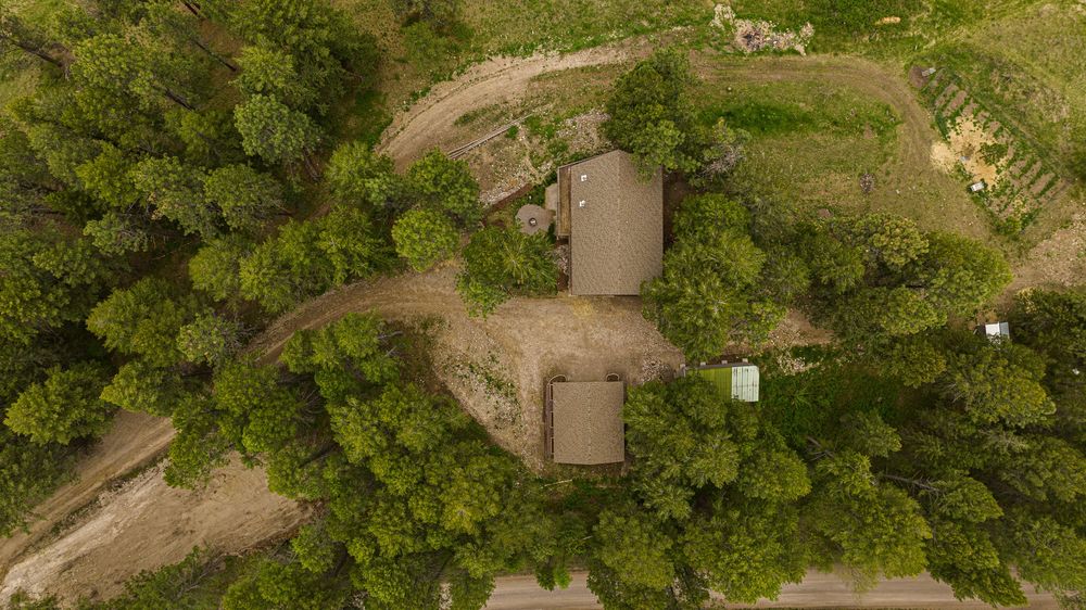 Aerial view of a green forest canopy with winding dirt paths and scattered buildings visible from above.