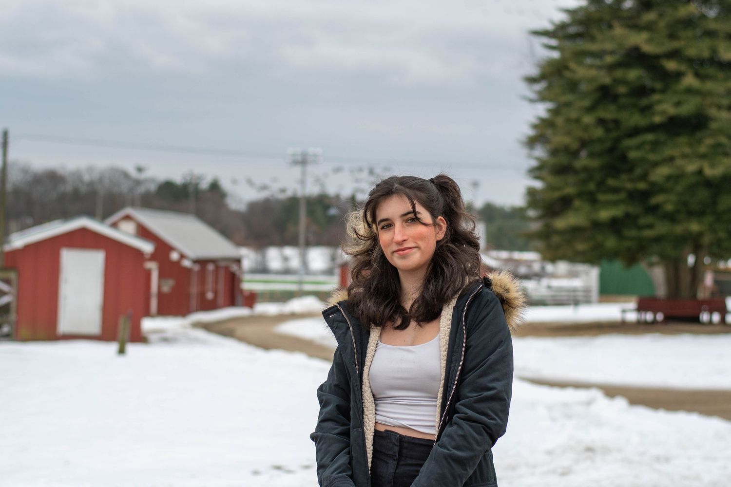 Snow covered landscape with red barn and evergreen trees in background.