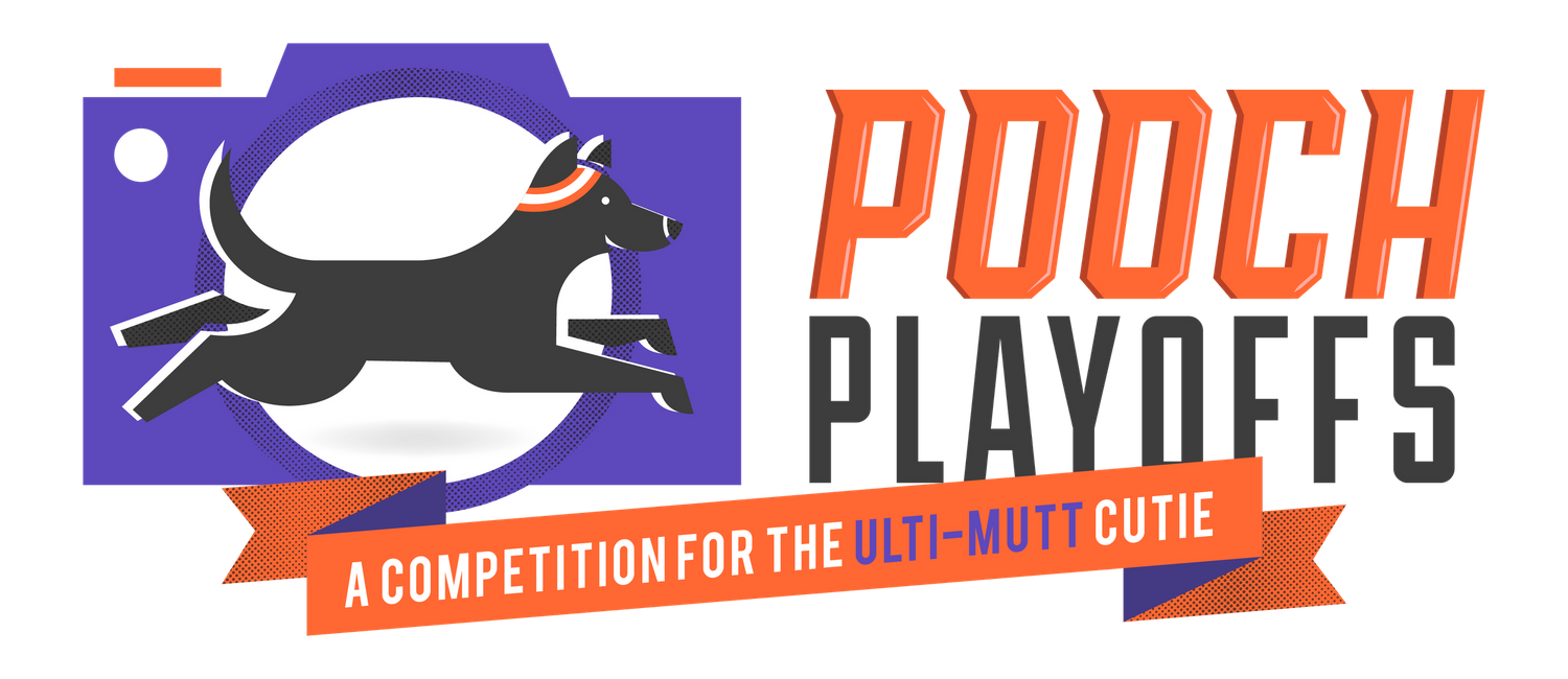 Logo design featuring a running dog silhouette with text 'Pooch Playoffs' and a banner for competition.