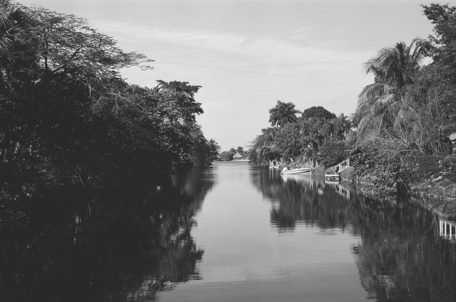 Black and white photograph of a tranquil river lined with palm trees and houses.