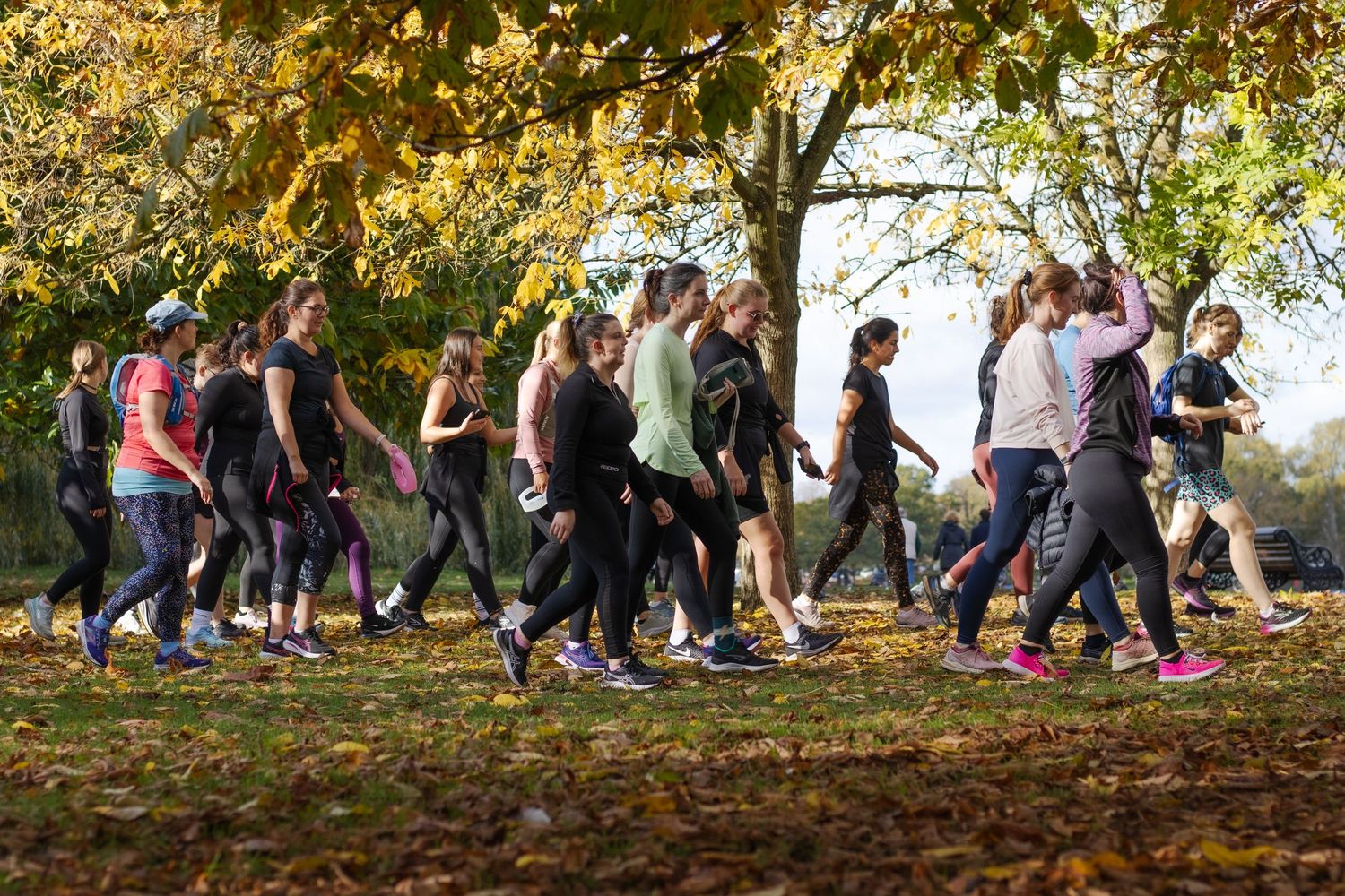 Group of runners from Runners High Club walking through autumn leaves during an outdoor run