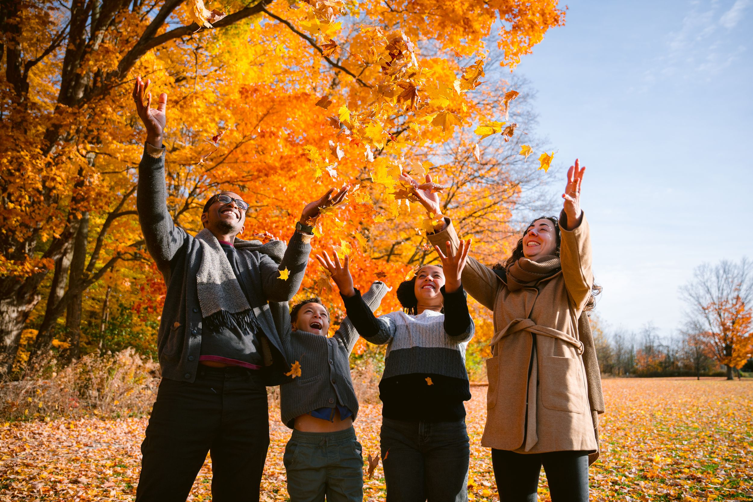 A group enjoying an autumn day throws fallen leaves in the air under vibrant orange foliage.