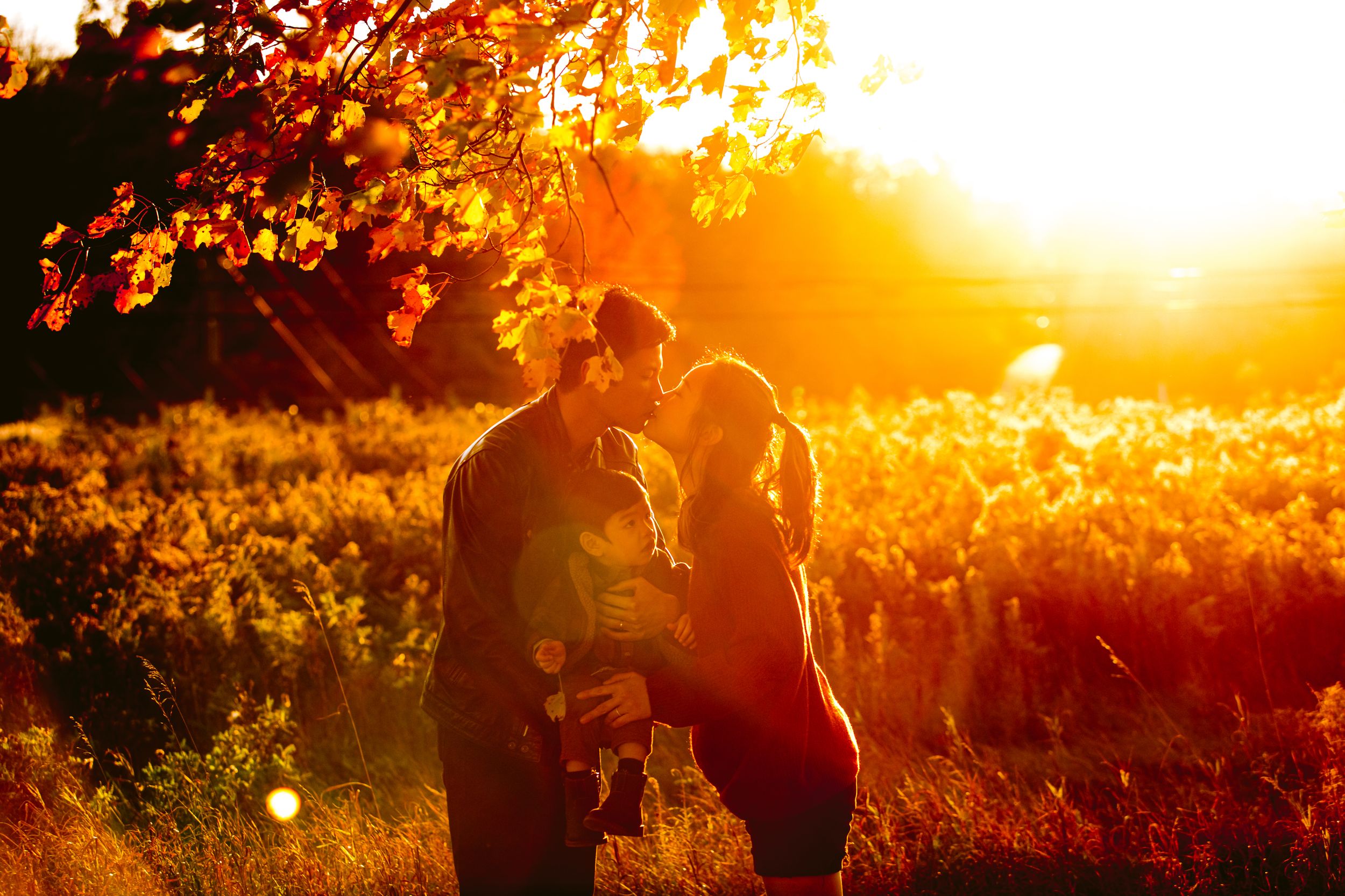 A romantic silhouette of a couple embracing in a golden sunset with backlit autumn foliage creating a dreamy atmosphere.