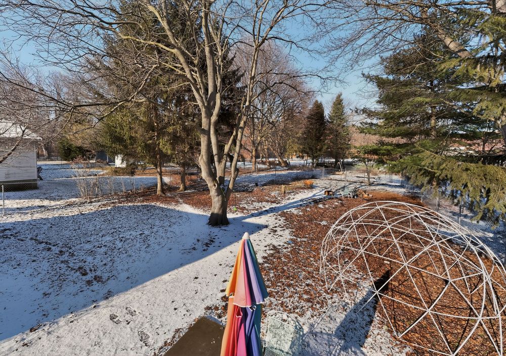 Snowy backyard garden with bare trees, a rainbow hammock, and a geodesic dome structure in winter.