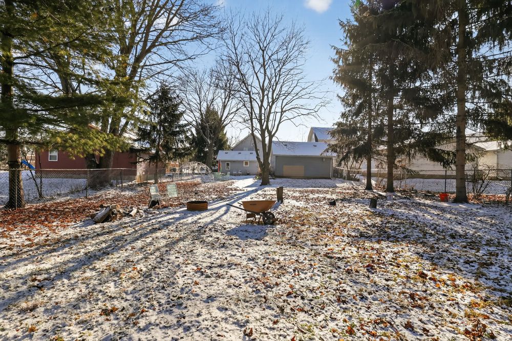 Snow-dusted backyard with bare trees, evergreens, and fallen leaves on a sunny winter day.