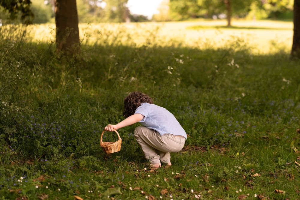 Child crouching in a sunny green meadow, picking items into a wicker basket surrounded by lush grass and trees.