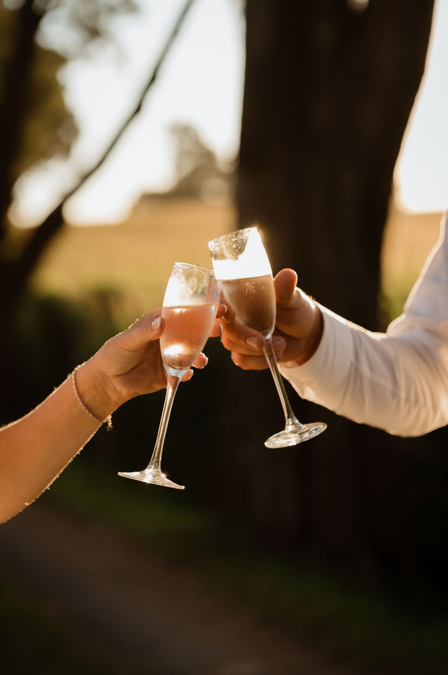 Wedding toast