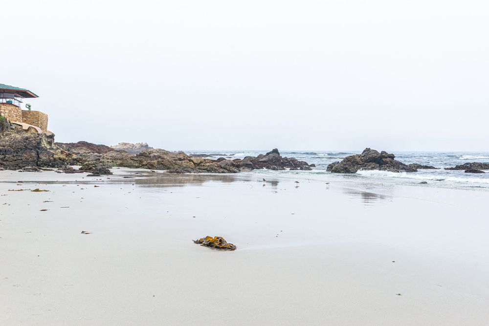 Rocky beach shoreline with wet sand, ocean waves, and overcast sky at a coastal location.