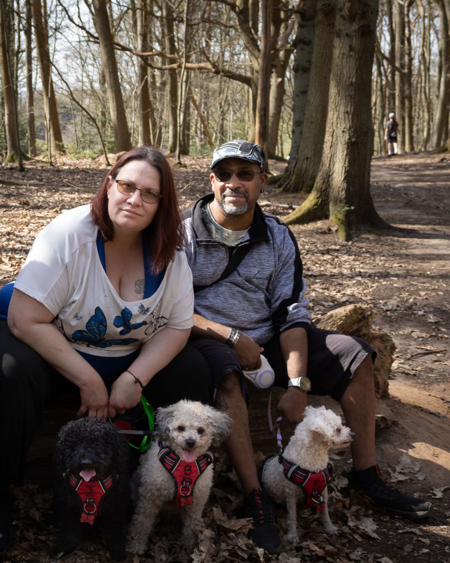 A couple sitting on a log in a forest with three small fluffy dogs on leashes.