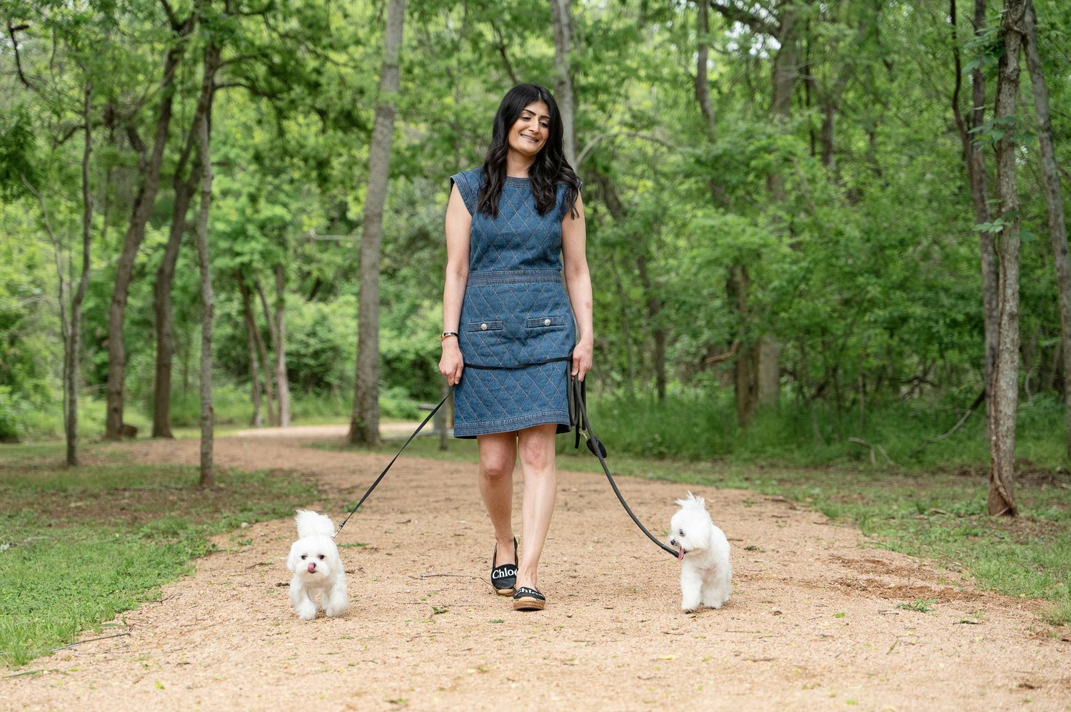 Natural candid dog portrait during outdoor photography session near Sugar Land TX