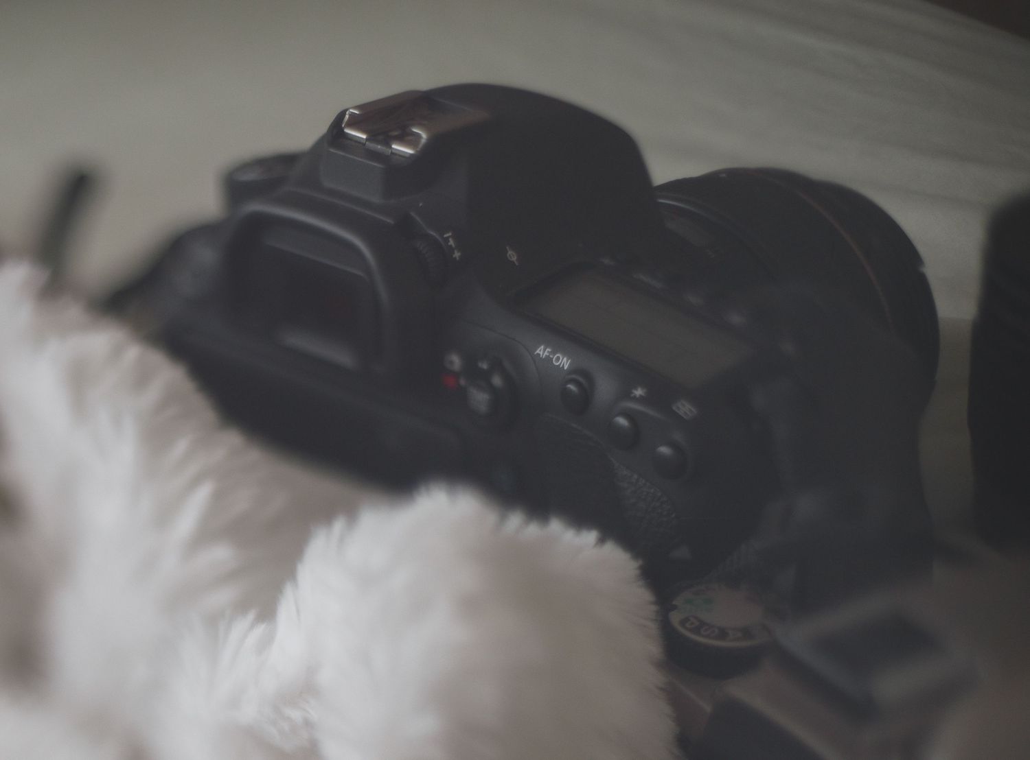 Camera gear.