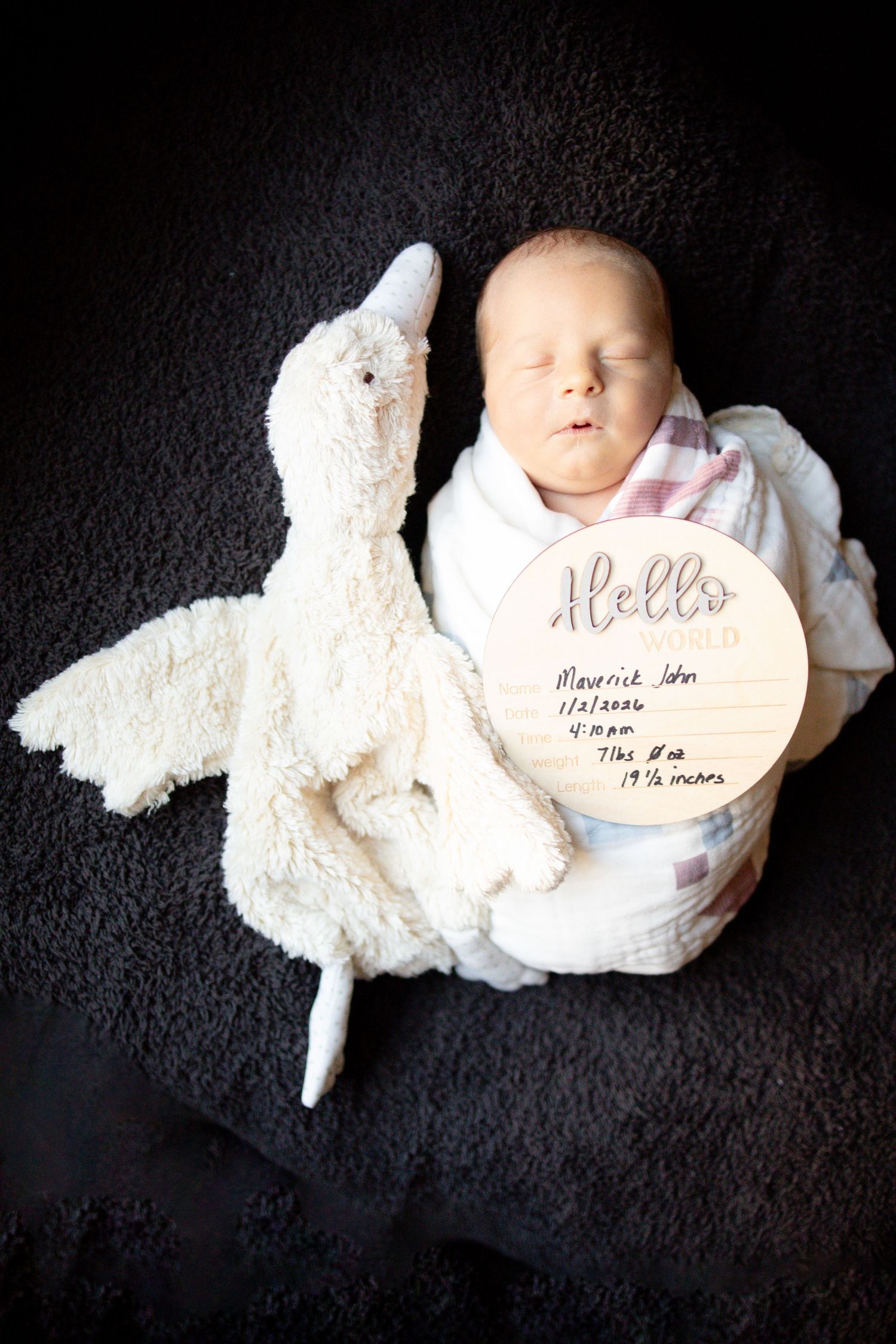 Newborn baby sleeping swaddled beside a white plush swan toy with a birth announcement wooden sign.