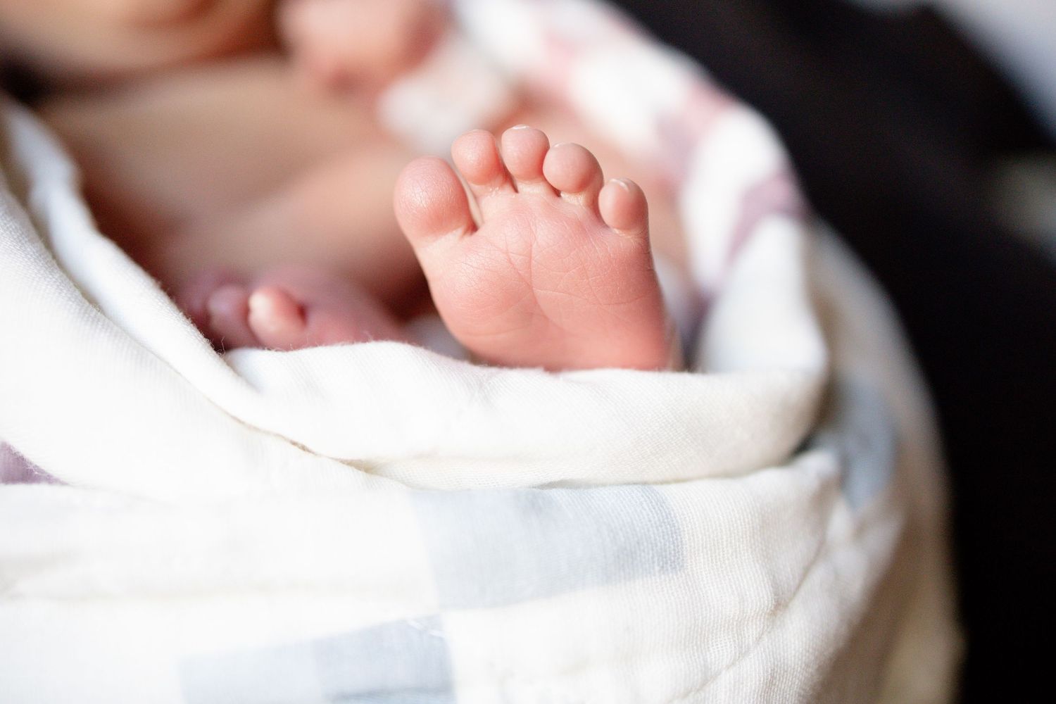 Close-up of tiny newborn baby feet wrapped in a soft white and gray checkered blanket.