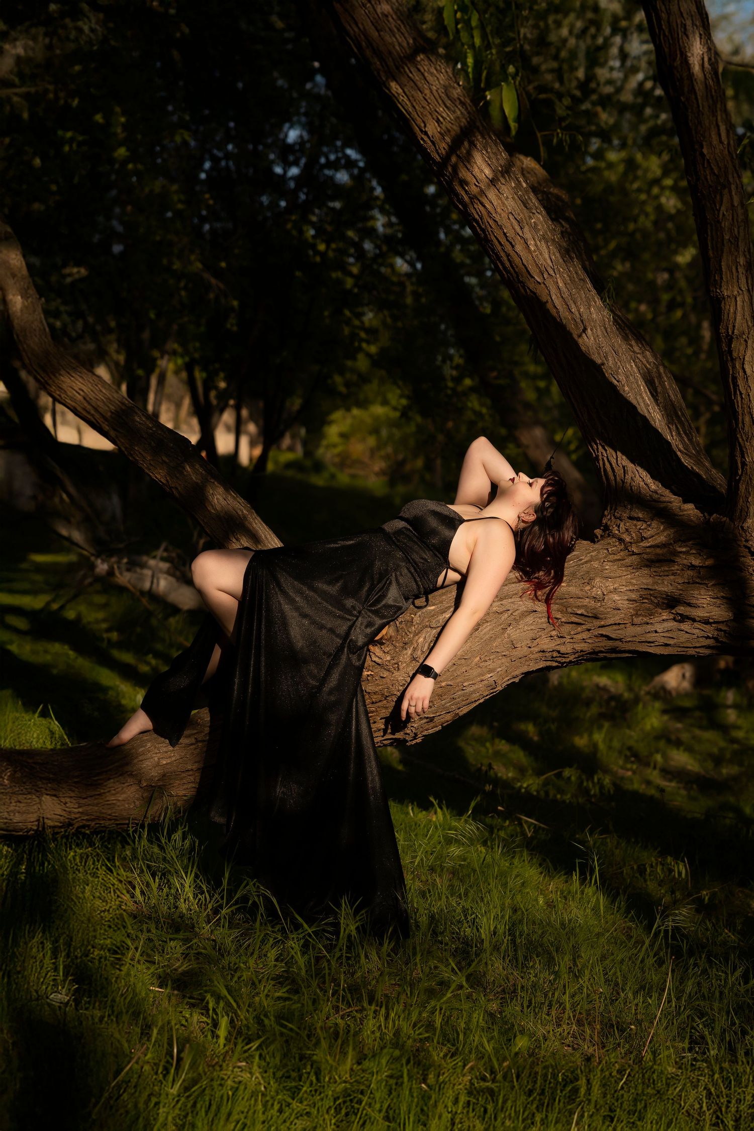 Senior portrait girl wearing black gown lying in tree on branch with sun shining through