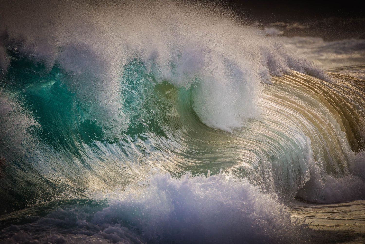 Hawaii, Oahu, Sandy Beach, Wave surfing, Bellyboarding, Shorebreak, Bodyboarding, Bodysurfing