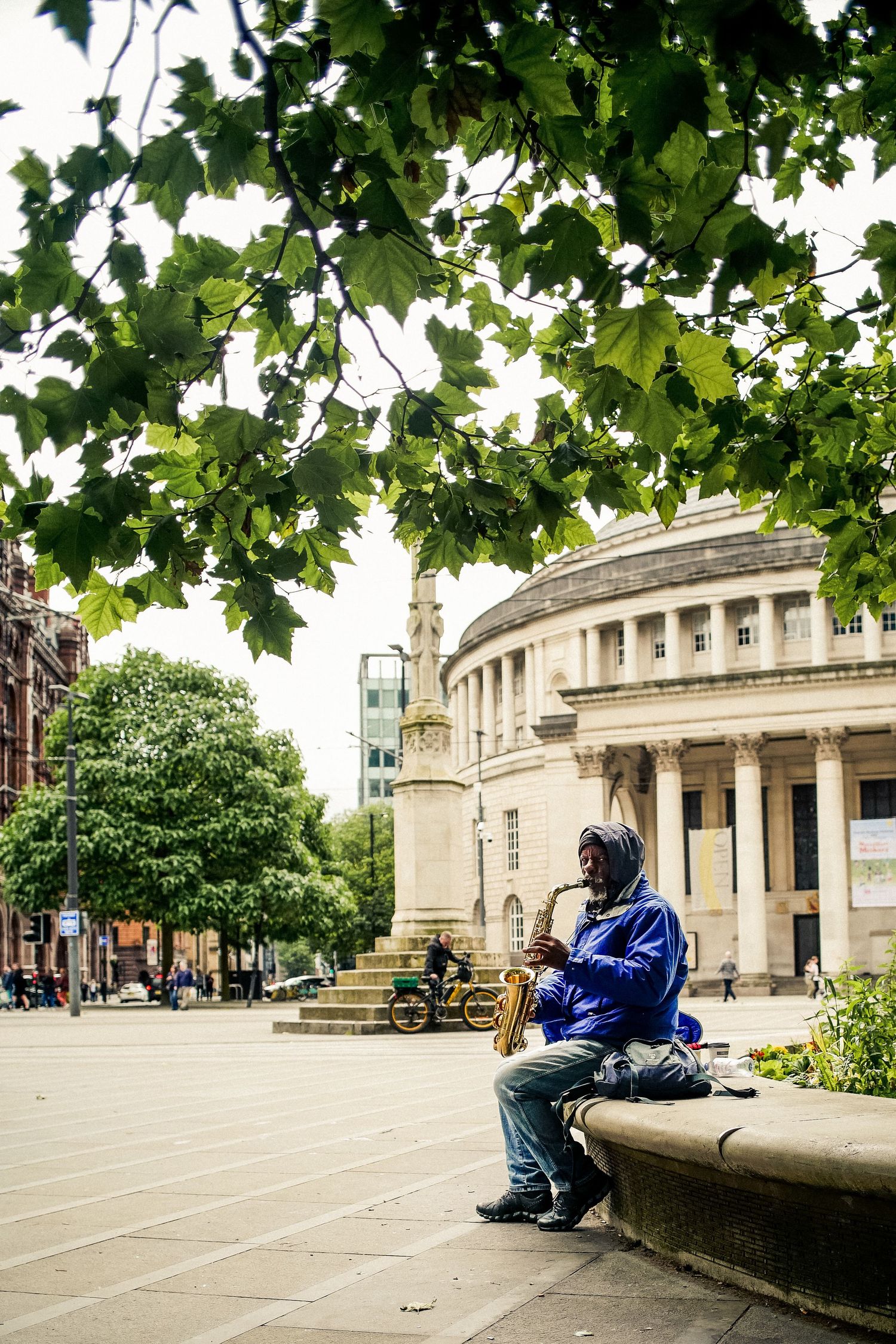 Classical architecture building with leafy trees in an urban square.