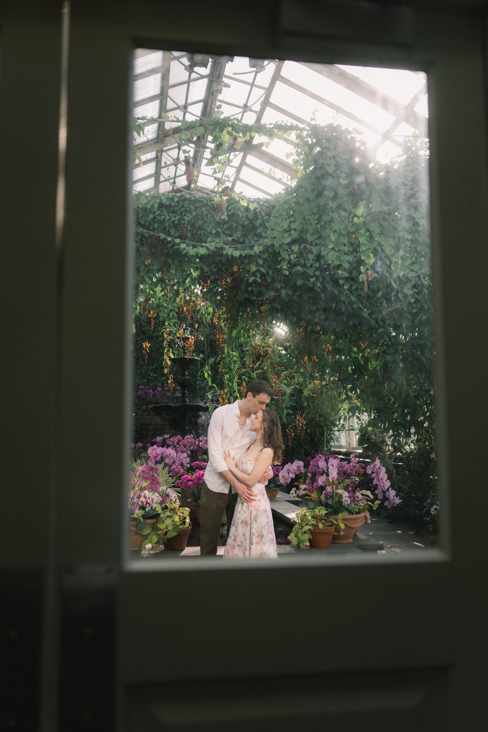 Couple kissing inside a sunlit greenhouse filled with purple orchids, viewed through a window.