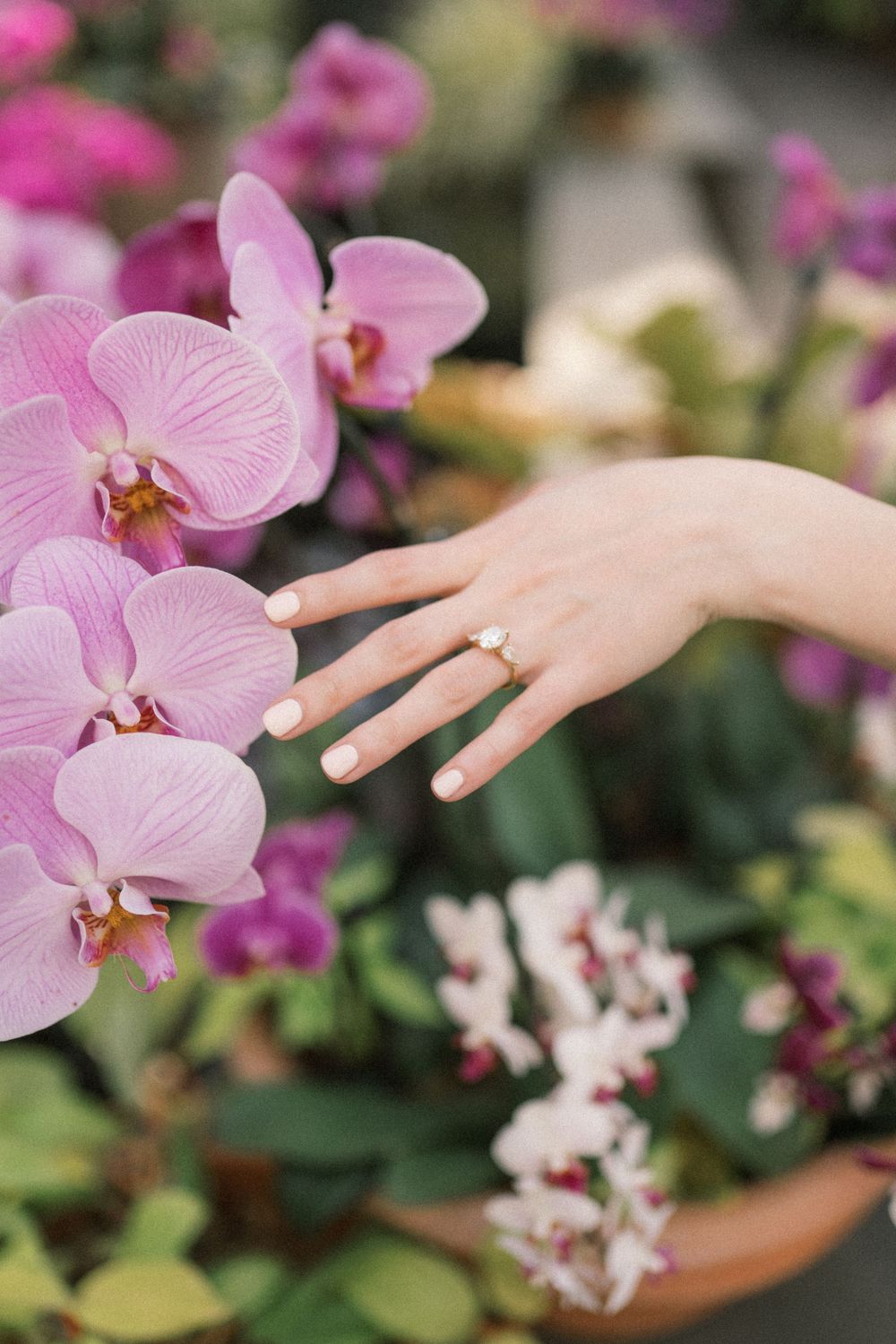 A delicate hand wearing a gold ring with a white stone posed near pink orchid blooms in a lush garden setting.