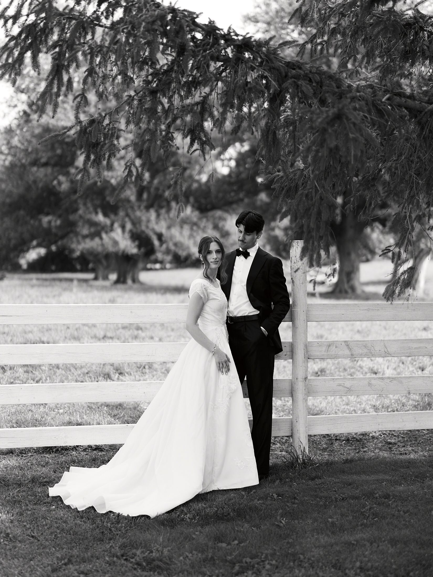 A black and white wedding portrait of a couple standing beneath a drooping tree branch on their special day.