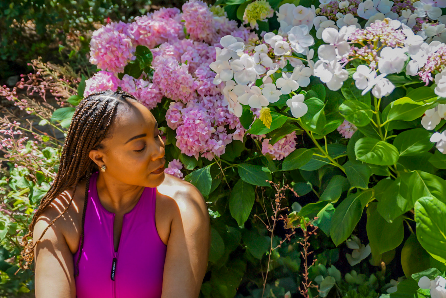 Beautiful pink hydrangea flowers bloom in a lush garden setting.