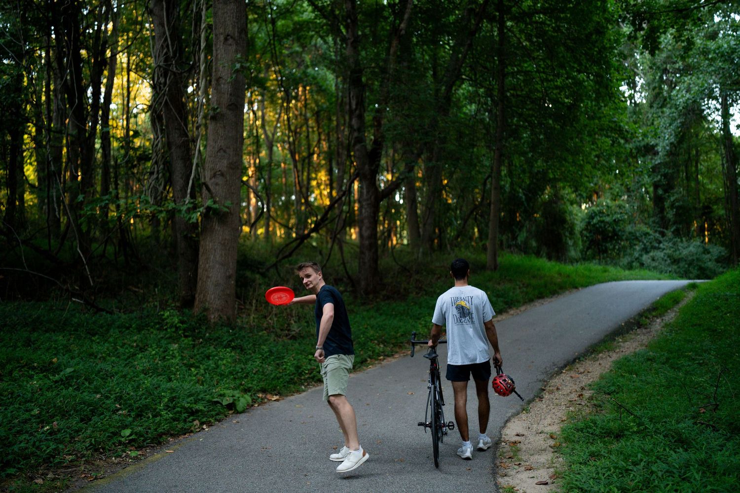 Tree-lined walking path through a lush green park on a sunny day.