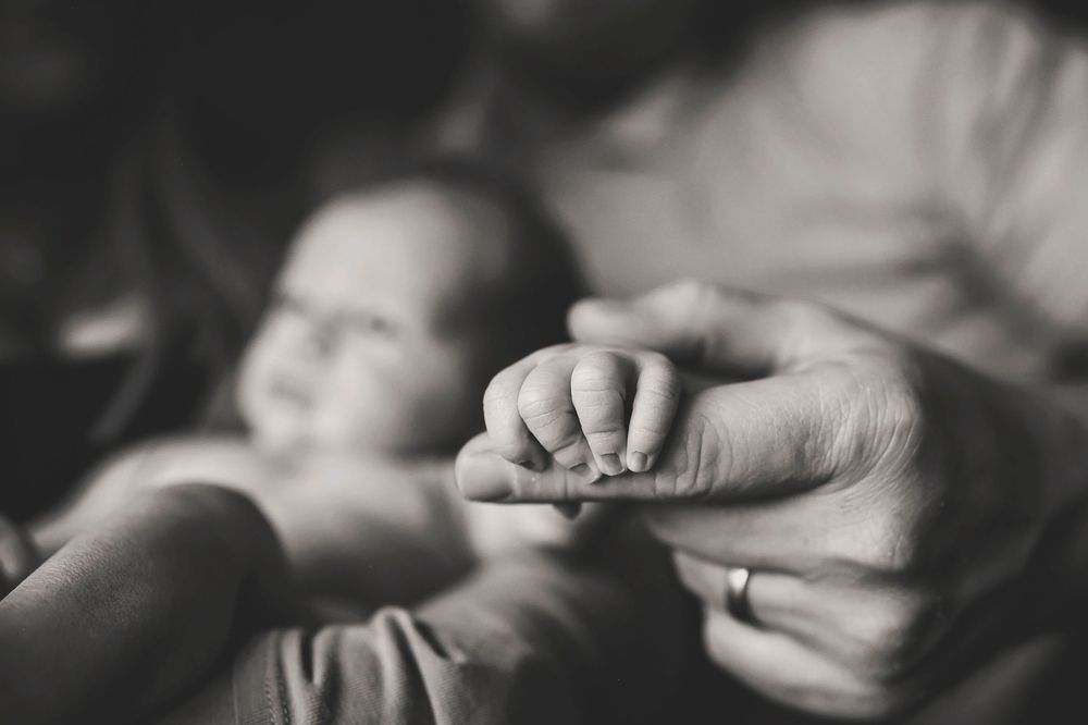 Black and white close-up photos show hands gently moving across different surfaces in an artistic arrangement.