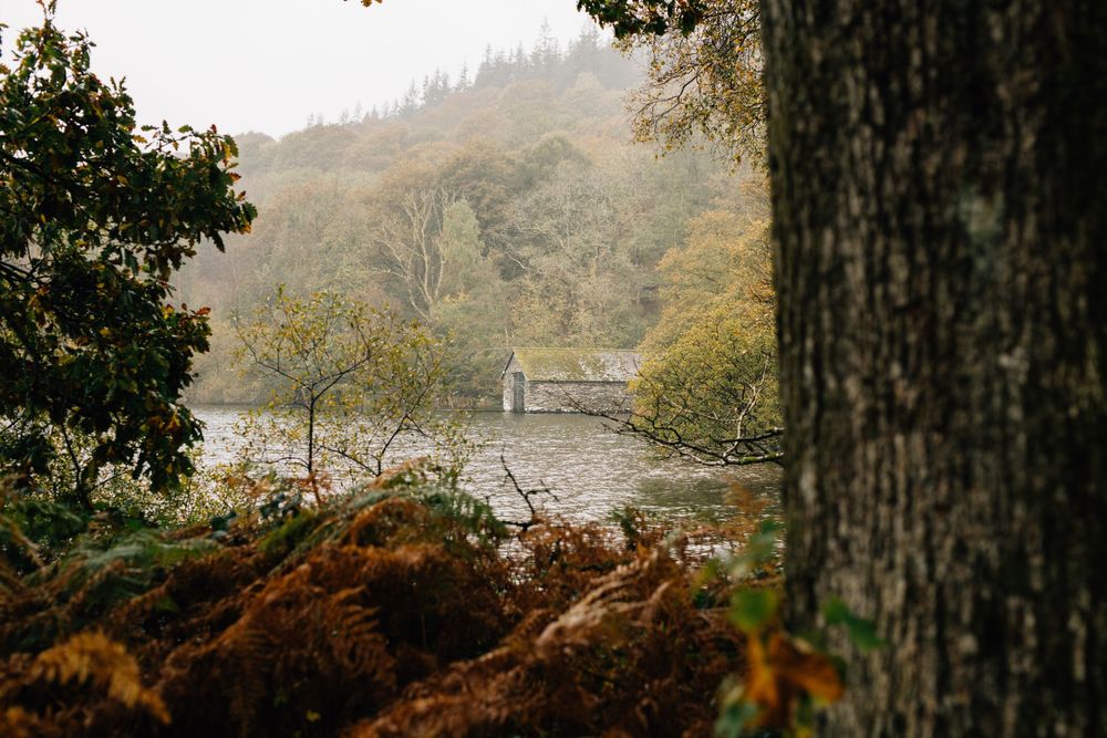 A scenic autumn landscape view of a foggy forest with golden foliage and misty mountains in the background.