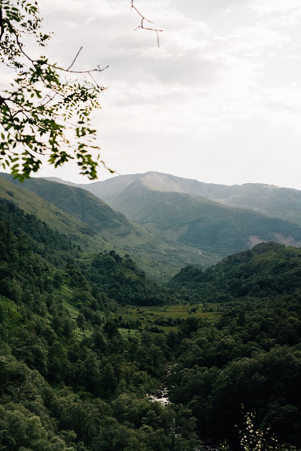 Panoramic mountain landscape with lush green forests and rolling hills under an overcast sky.