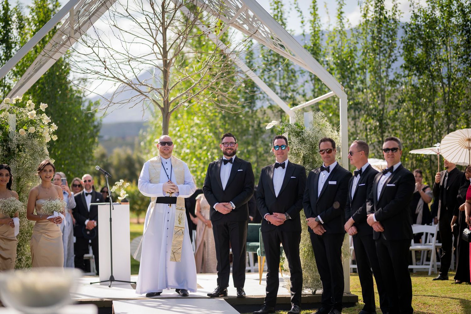Wedding party stands in a row outdoors with green trees and mountains in the background during a sunny ceremony.