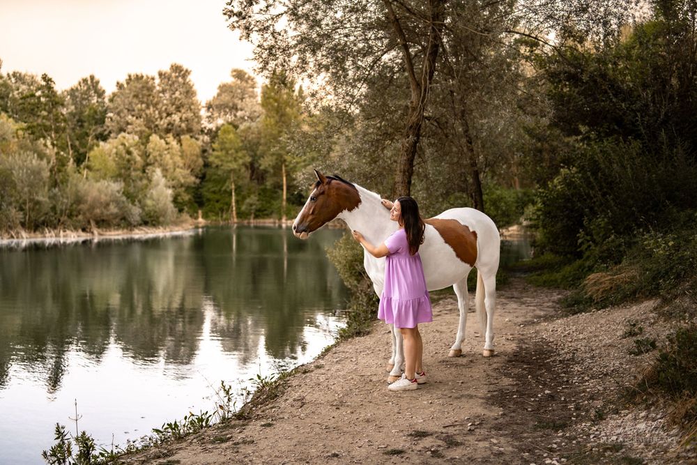 photographe cheval
séance photo chevaux
photographie animaux de compagnie
photo cheval extérieur
photographe Drôme Valence Isère