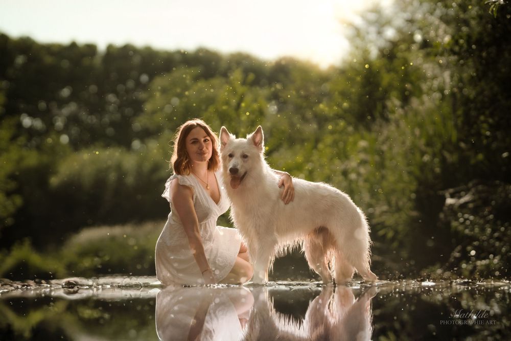 photographe chien
séance photo chien
photographie animaux de compagnie
portrait de chien
photo chien extérieur
photographe Drôme Valence Isè