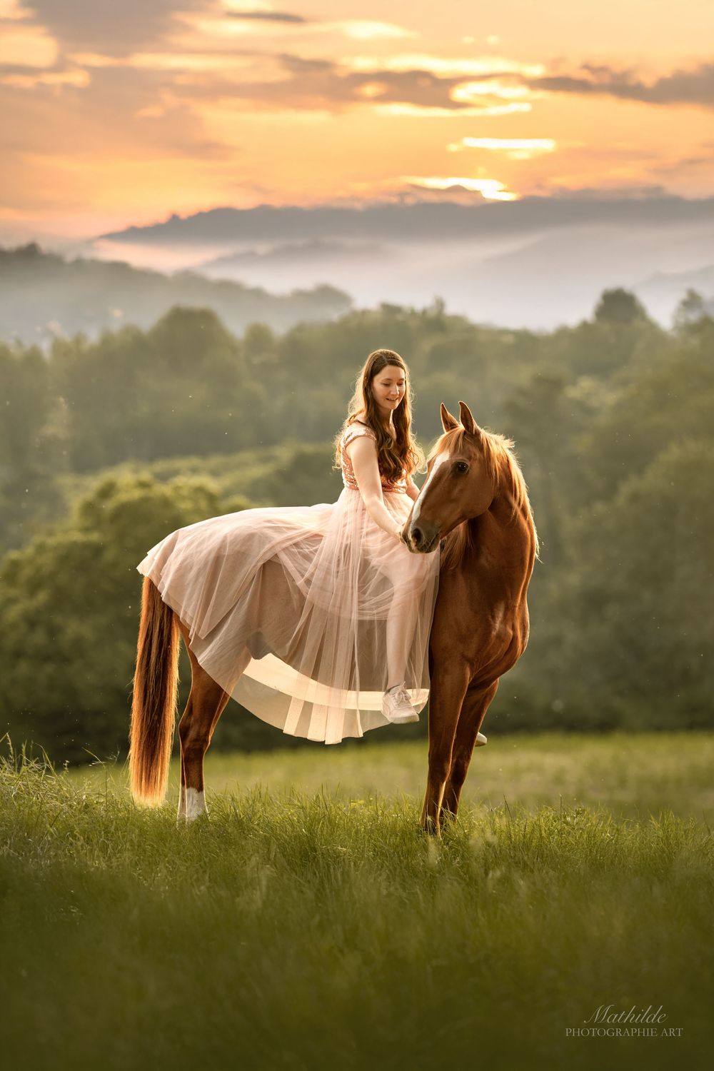 photographe cheval
séance photo chevaux
photographie animaux de compagnie
photo cheval extérieur
photographe Drôme Valence Isère