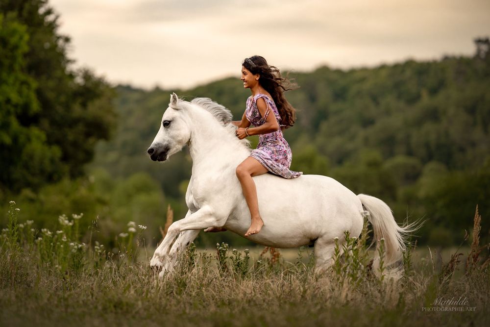 photographe cheval
séance photo chevaux
photographie animaux de compagnie
photo cheval extérieur
photographe Drôme Valence Isère