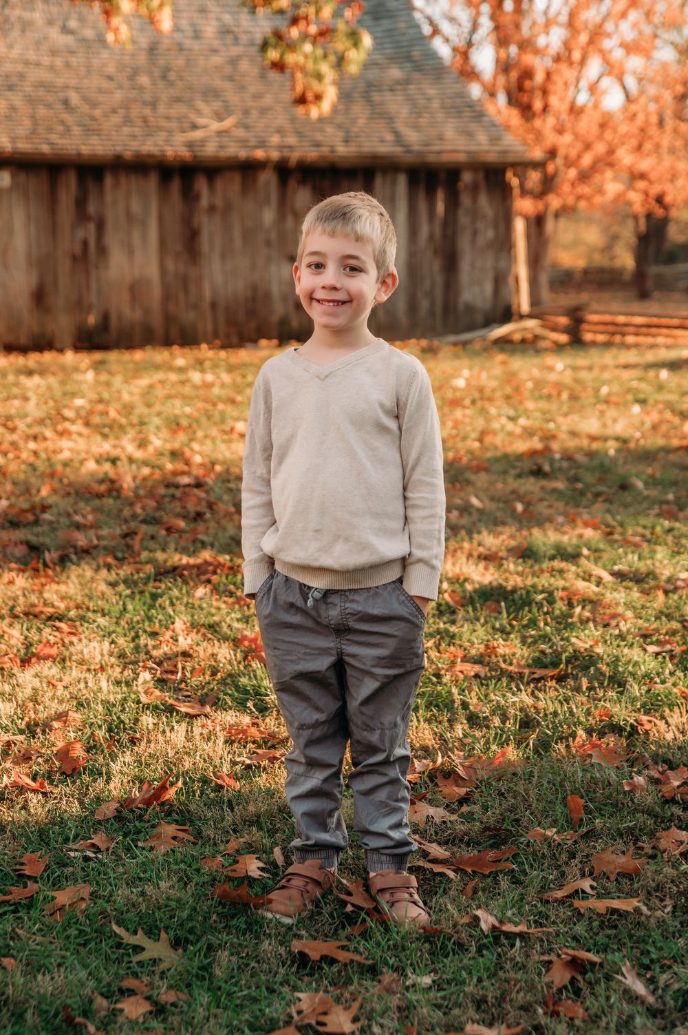 St. Louis Family Photographer Ashley Dawn Photography Faust Park Chesterfield MO  Photographer