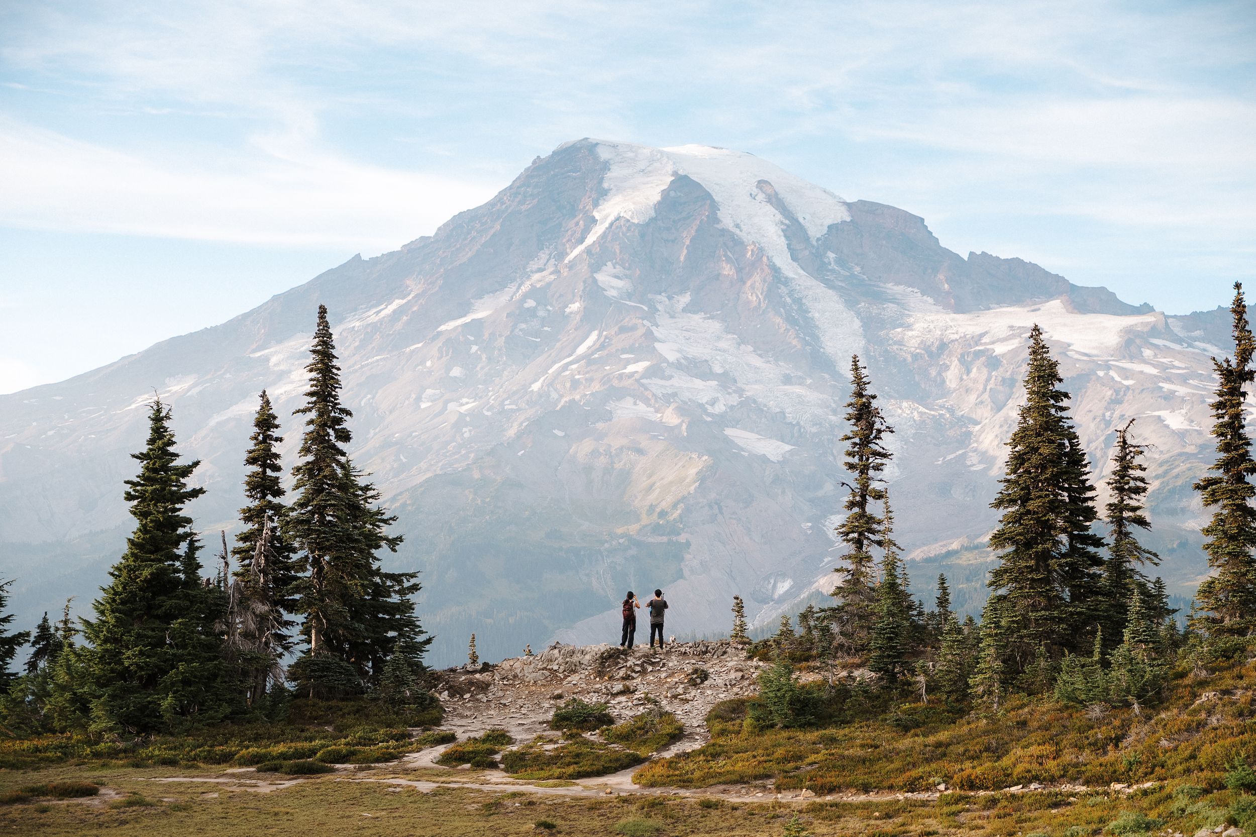 A serene panoramic mountain landscape with evergreen trees scattered across the rugged terrain beneath snow-dusted peaks.