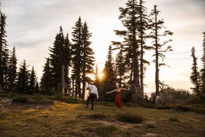 Silhouettes of tall evergreen trees against a misty sunset sky with sunburst peeking through branches.