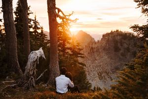 A serene sunset glows through silhouetted pine trees in the wilderness creating a golden atmosphere.