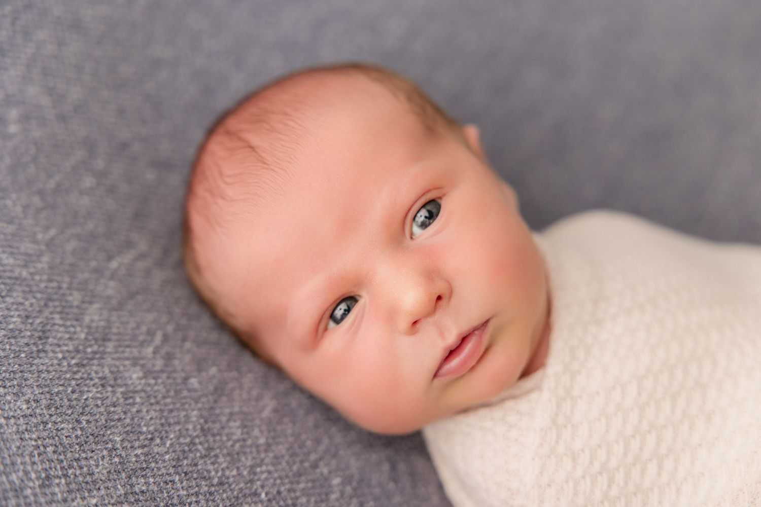 Sweet newborn baby wrapped in soft white textile lying on grey backdrop during professional photoshoot.