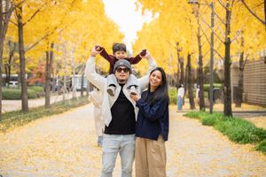 Autumn scene with yellow ginkgo trees lining a path in Seoul.