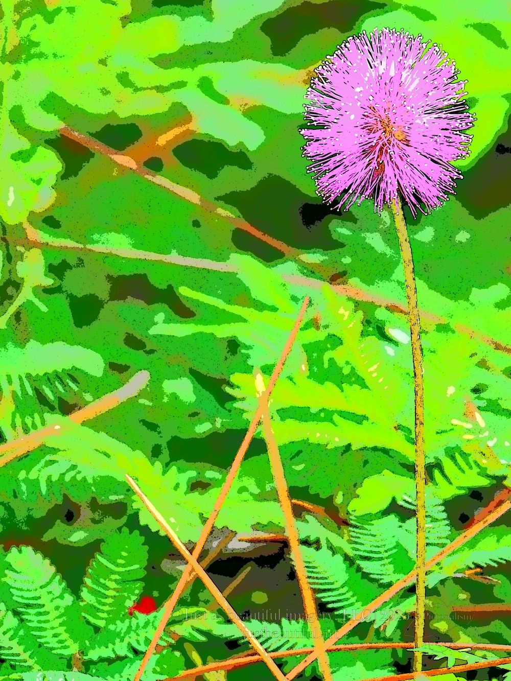 Neo-pictoralism photo of flower.