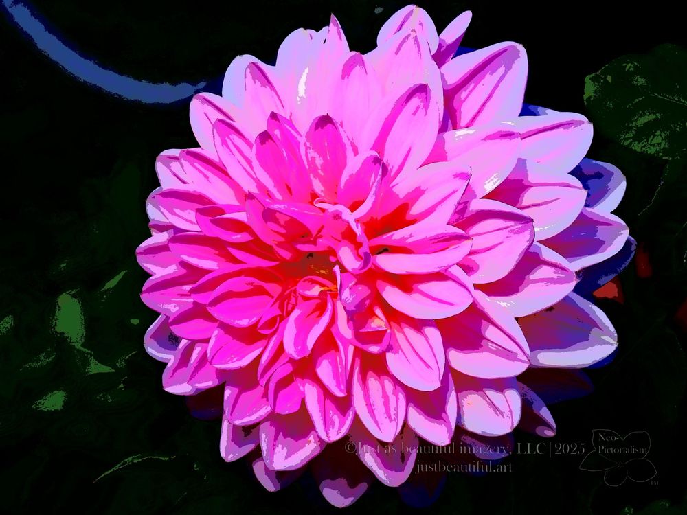 Neo-pictoralism photo of flower.