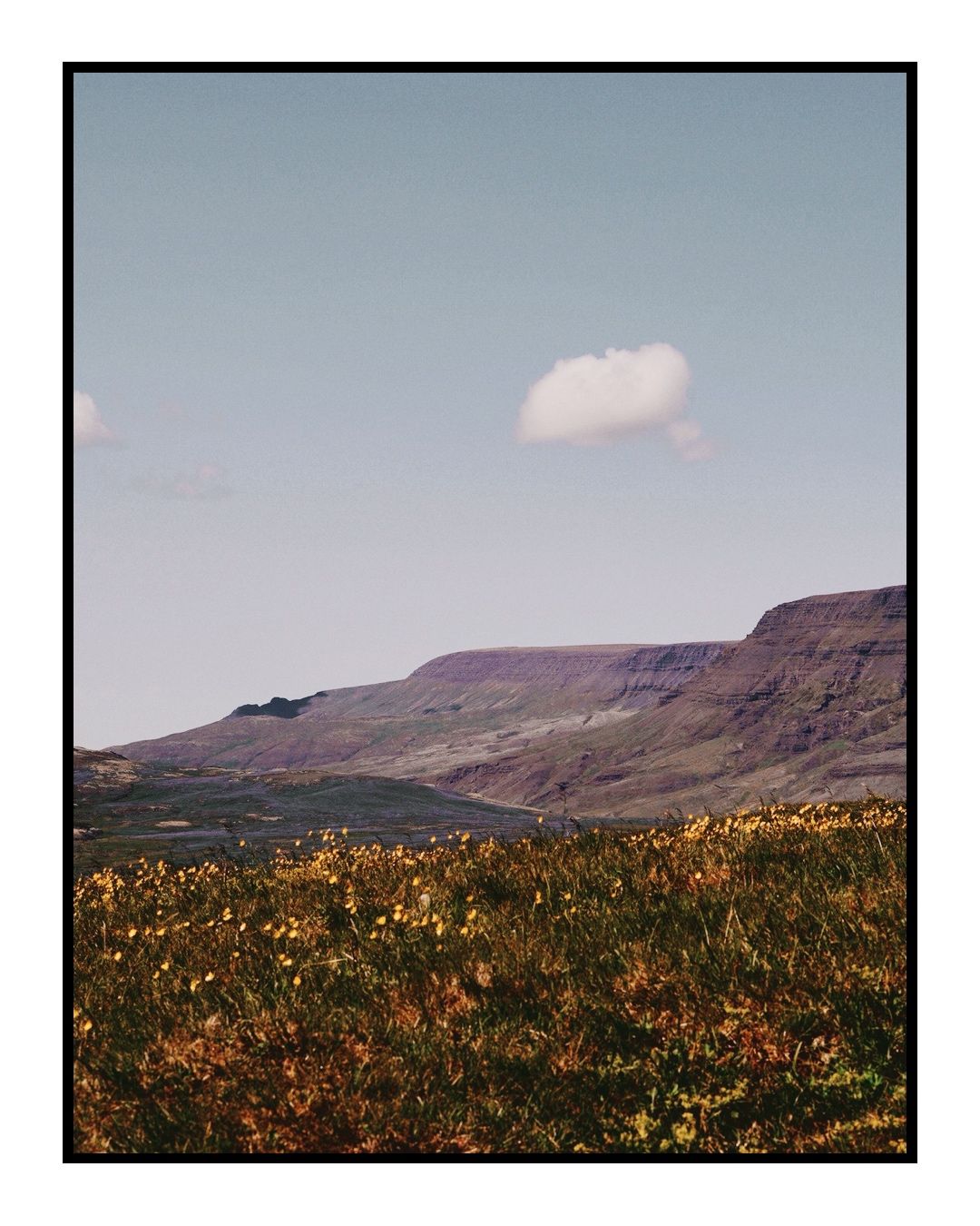 Golden wildflowers bloom beneath rugged mountain plateaus under a clear blue sky in Iceland.