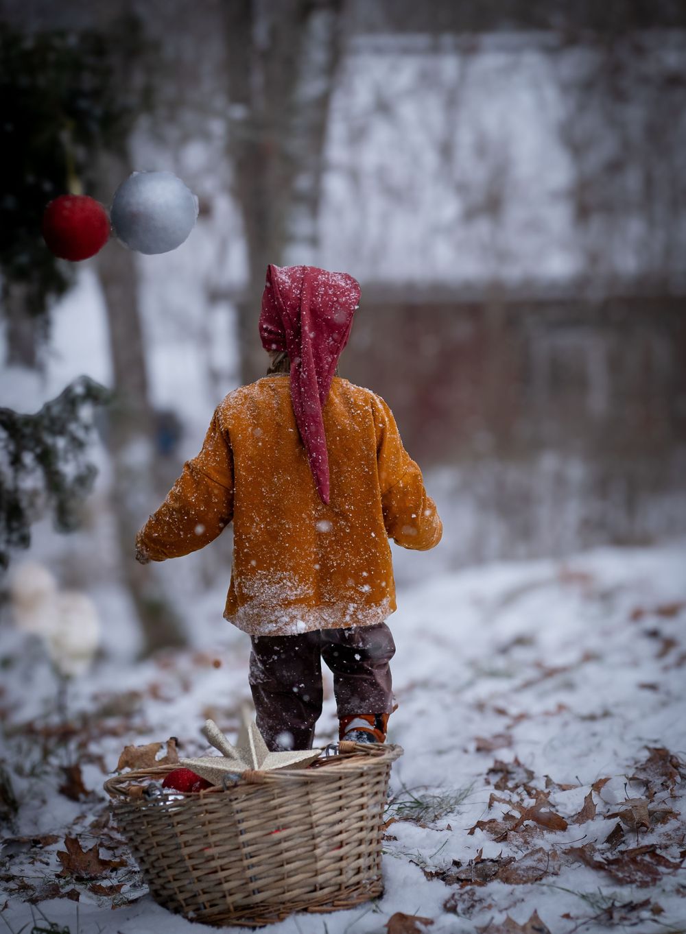 Julfotografering. Fotografering pojke i tomteluva, snö, gran, julgran, julkulor, korg.