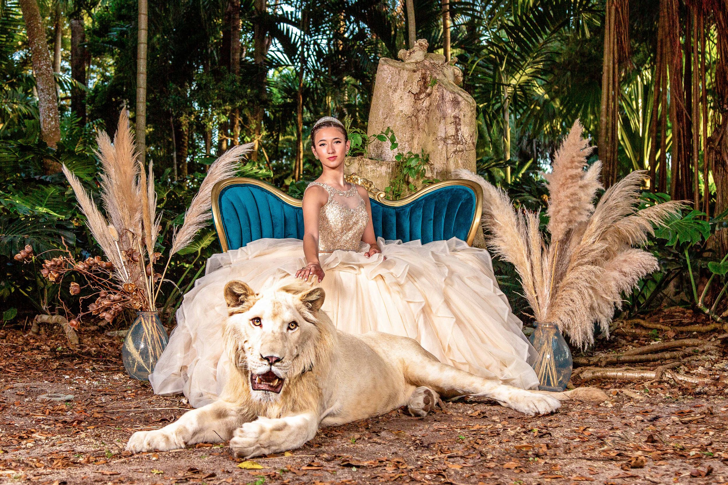 stunning quinceañera dress sits gracefully next to a majestic lion, soft lighting and elegant