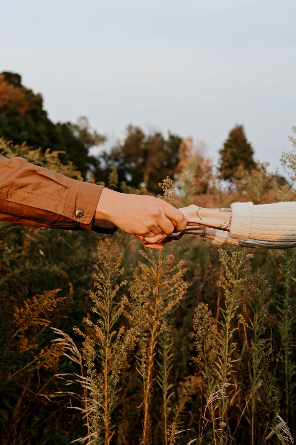 Close-up of two hands reaching towards each other among tall autumn grasses at sunset.