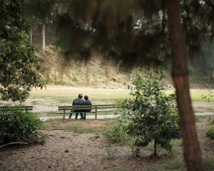 A park bench sits among trees and foliage in a peaceful outdoor setting during a misty day.